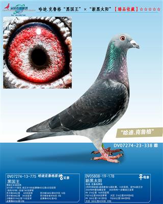 ����.��³�񡰺ڹ����������º�̫����