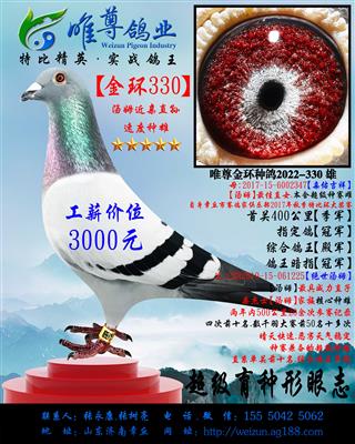 ����330�����ý�������