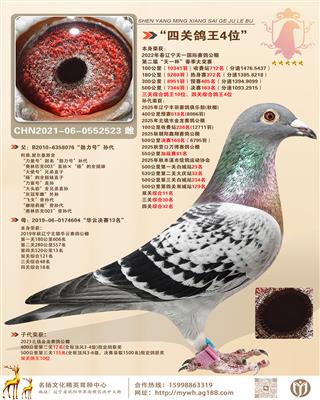 2022��������һ���ʹ����Ĺظ���4λ