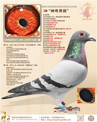 �������к�����ʢVIP����91��ȫƽ��