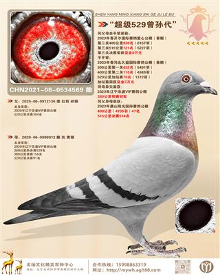������529��������߼��ִơ���������