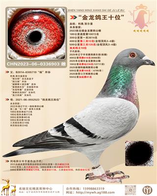 2023���ﱱ��������빫��˫�ظ���ʮλ