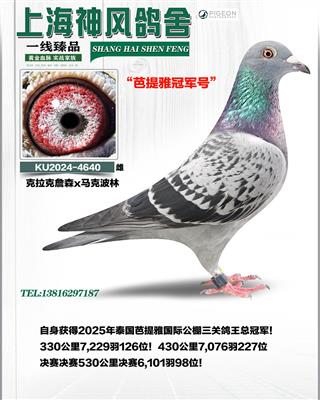 ̩�����������ظ����ھ�