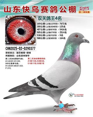 ɽ���������빫��˫�ظ���4��