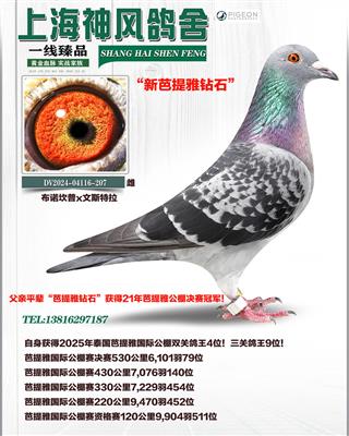 �����Ÿ���4��