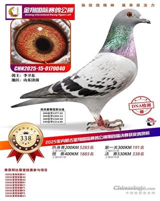 2025�����ɹŽ��蹫�����338��