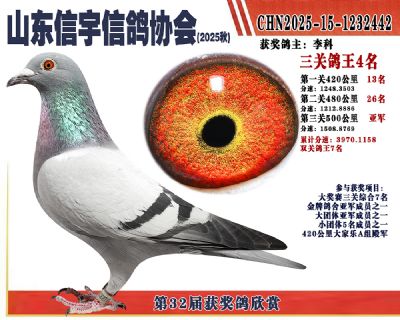 �����ۺϸ���4���