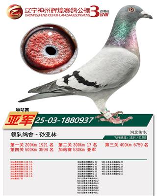 �����Ǿ�