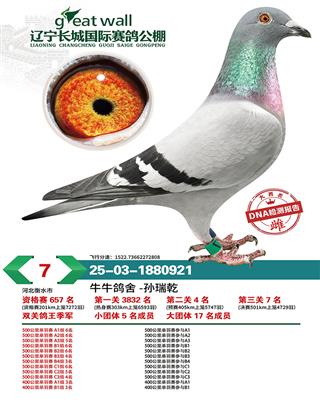 ���Ǹ�������