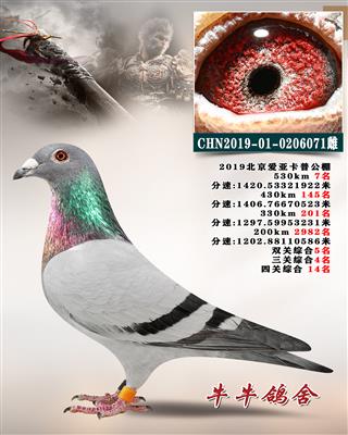 �������վ���7��