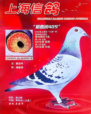 ���½�ķȫ�ֵܡ���Ů