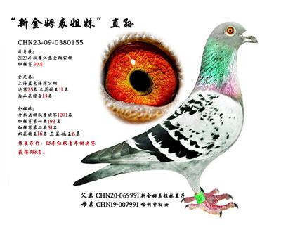 �½�ķ�����á�ֱ�O��