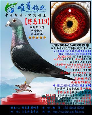 ����˹���š�Ұ��119