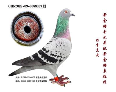 ���½�ķȫ�ֵܡ�ֱŮ