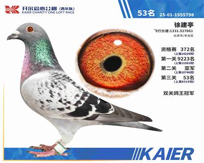 25�������˫�ظ����ھ���Ԥ���Ǿ�