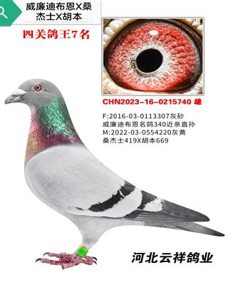 �����ϲ����Ĺ�7��