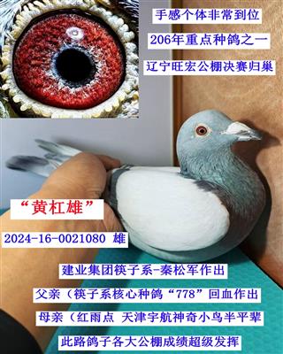 ����������ҵ-����ϵ