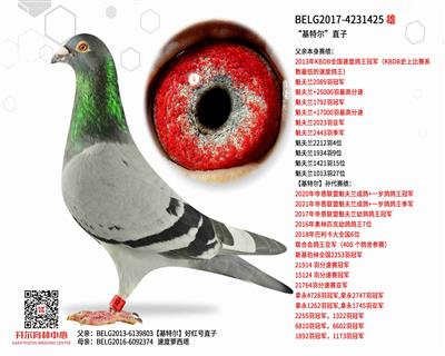 �����ض���ֱ��