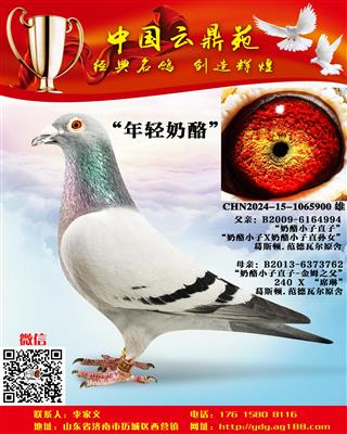 �ƽ�����