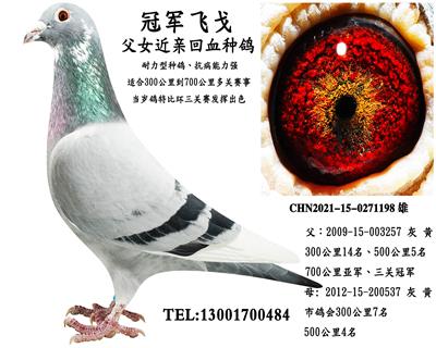 �ھ��ɸ� ��Ů��Ѫ