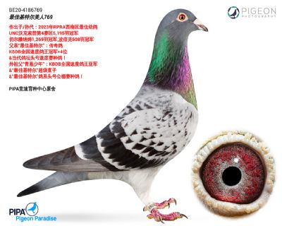 ��ѻ��ض�����ֱŮ