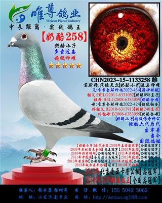 �����ҽ��ס�����258