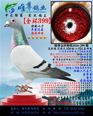 �����ҽ��ס���399