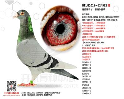 �ٶȻ��ض������ض�ֱ��