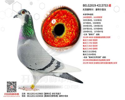 ������ض������ض�ֱŮ