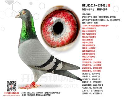 �ұȶ����ض������ض�ֱ��