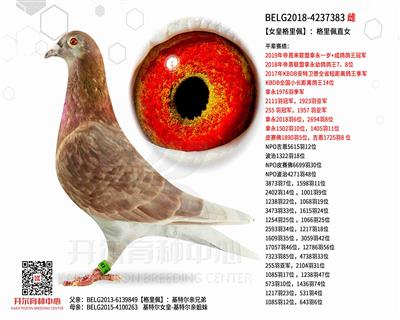 ��Ů�ʸ����塿��������ֱŮ