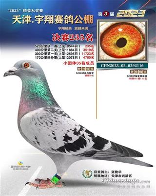 ���ָ���ԡ�