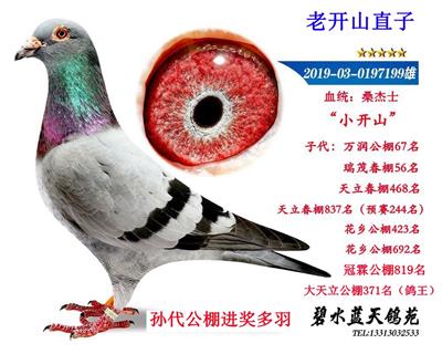 ��2026���һ�䡷