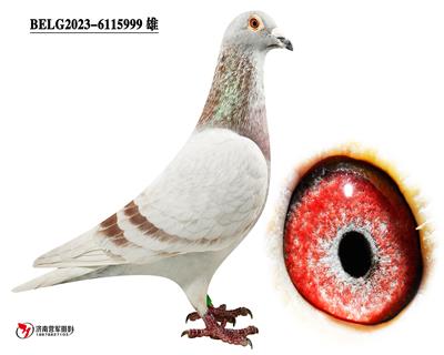 ���ǡ�����