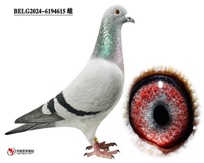 ���ǡ�������