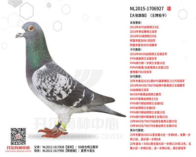 ��������ġ�������Ͷ�֣�