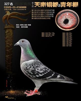 ��������ͭ��������