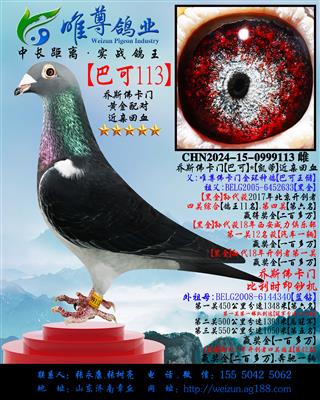 ����˹���š��Ϳ�113