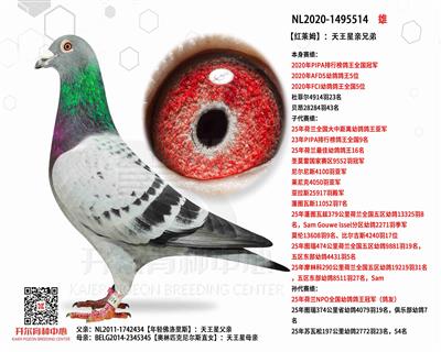 ������ķ����PIPA���а����ȫ���ھ�