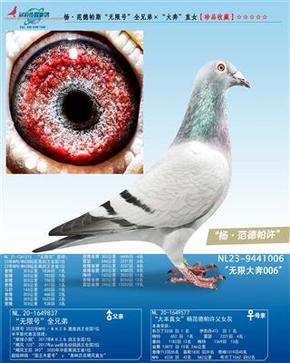 �������˹�����޴�006��