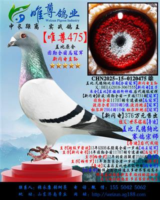 ��������475��