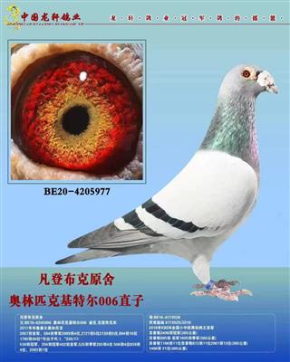 ���ǲ��˰���ƥ�˻��ض�006ֱ��