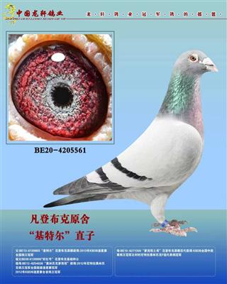 �������ǲ��˻��ض�����