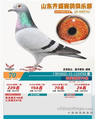 ��ʢ������ֲ��Ĺظ���70��