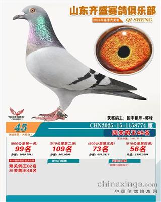 ��ʢ������ֲ��Ĺظ���45��