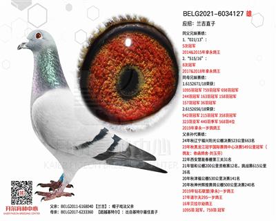 Ӧ�У�����ֱ��