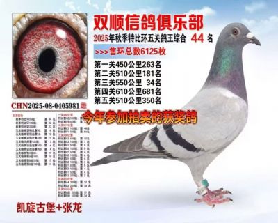 98c1cc52c4ffc457a490d3554f356cd7