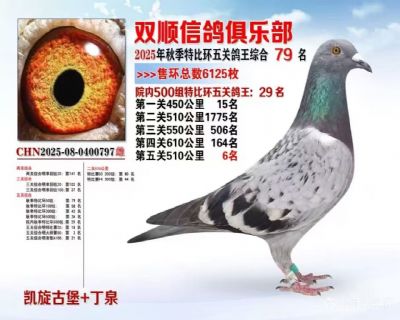 206f60ac5e6889a9bdf54a499dfc047d