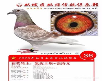 5e70c6b626eb9f022cce93a0c4ecd860