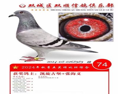 84af55cf7a5bcbd62b2bd6e2894410ea